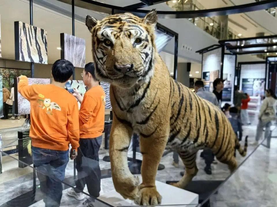 “艺动自然——趣玩”！共赴一场奇妙的博物馆夜之旅