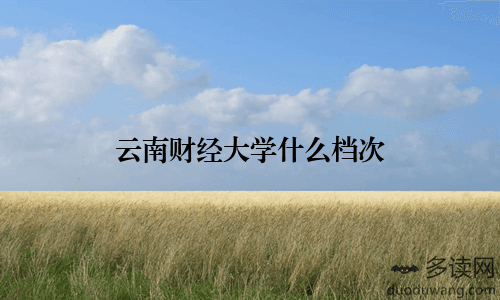 云南财经大学什么档次