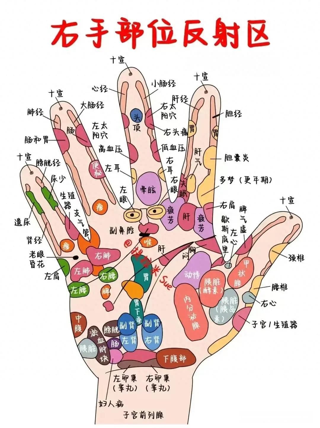 详解手掌穴位图：五根手指各有一个养生穴，利心肺肝肾肠，随时按随时养生