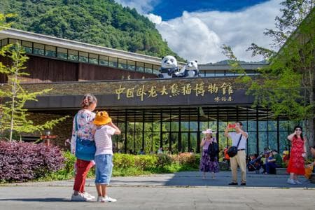 卧龙中华大熊猫苑神树坪基地：大熊猫的原生栖息地