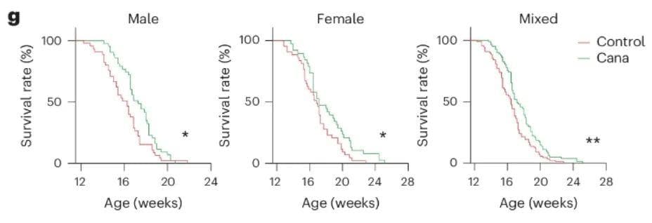 重磅研究：SGLT2抑制剂或可延缓衰老