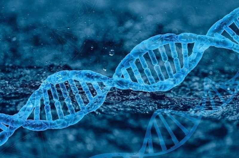 研究揭示肥胖最大风险基因