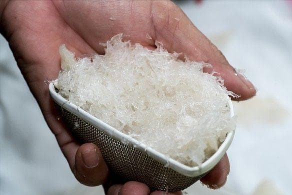 大米生虫？别怕，学会这三招，米袋里放一点后，一年不生虫