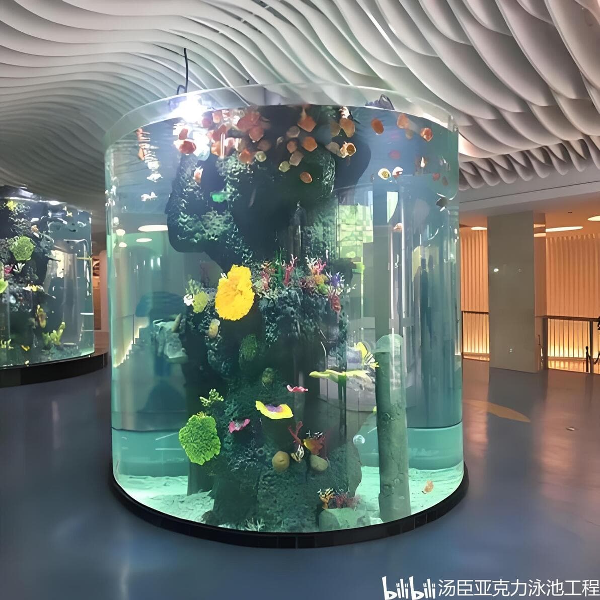 亚克力鱼缸与玻璃鱼缸的区别？