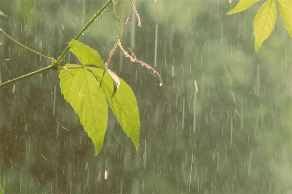 梅花易数中的字占法怎么取动爻？