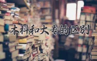 本科VS大专：你该选哪条路？