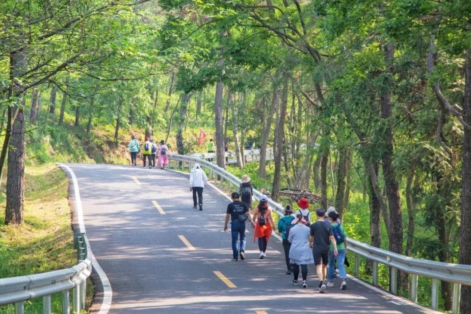 坚持走路100天，身体会有什么变化？忽视这2点是无效走路