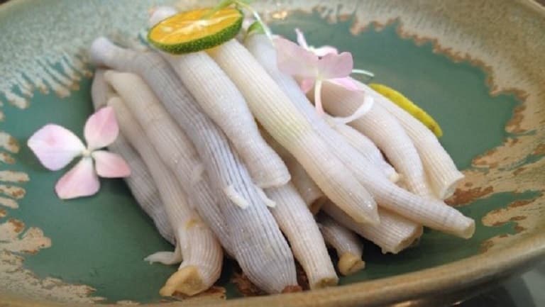 沙虫的功效与作用、禁忌和食用方法
