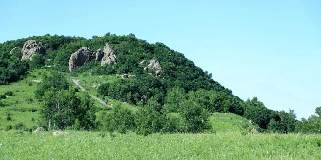 百花山风景区：在草甸和花海中邂逅夏日浪漫