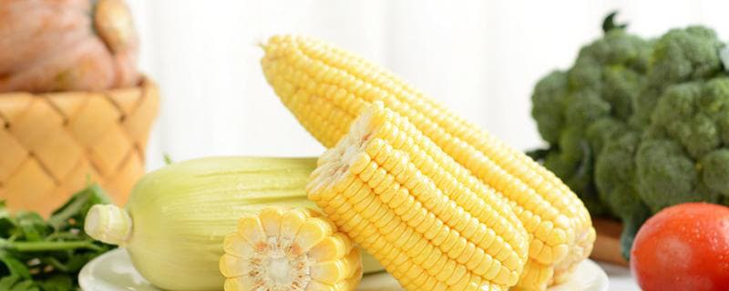 生玉米常温下多久会坏 带皮新鲜玉米能放几天