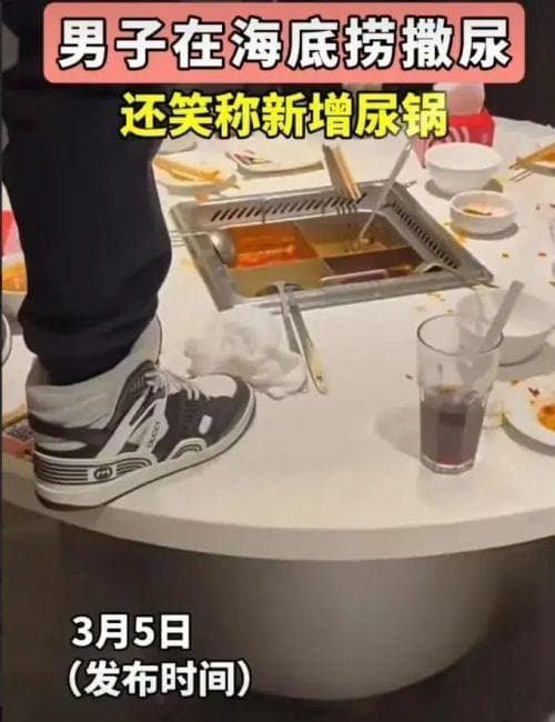 海底捞“魔童尿海”事件：从危机公关到口碑崩塌