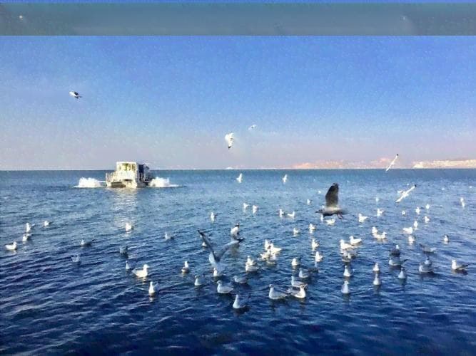 从临湘到昆明的旅行费用分析：火车、自驾和高速哪个更划算？
