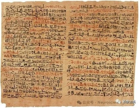 神经病学：从解剖启蒙到脑科学革命的千年探索