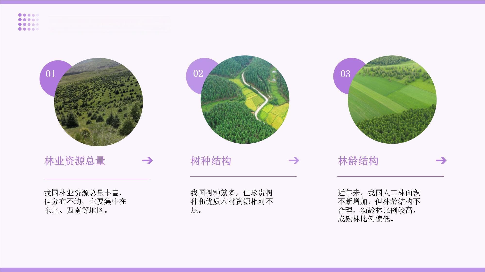 林业与农村环境改善的可持续保护和发展的政策机制