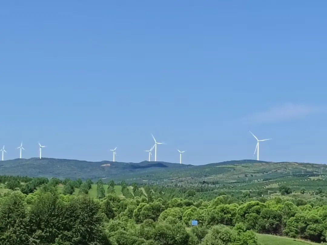 刚果新可持续农林业框架加强了融资和气候适应