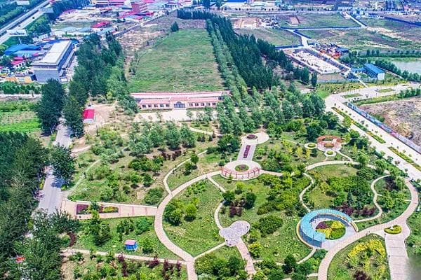 多地绿化以地方树种为主，品种和选择标准如下！