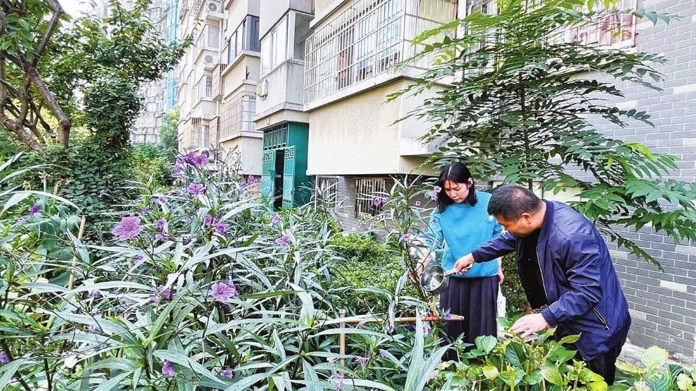 在宁波 看见文明中国 | 看这些老旧小区如何破解“老大难”