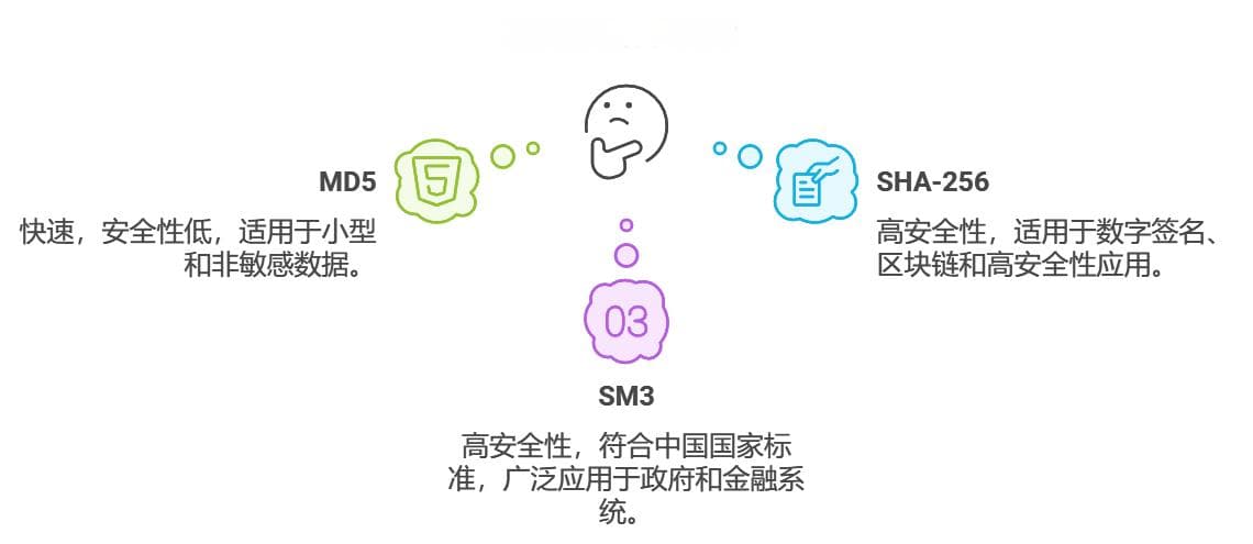 哈希函数与数据完整性：保护猫咪世界的小鱼干