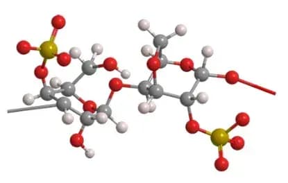 分子速递 | 揭秘【卡拉胶】