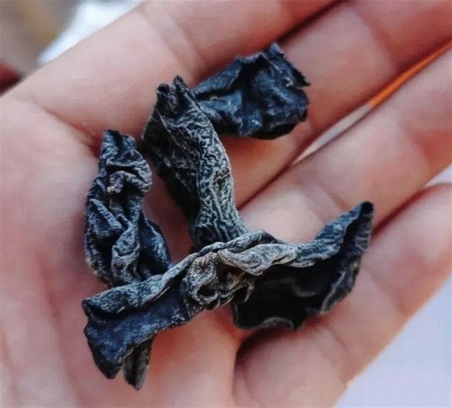 木耳煮多久？揭秘木耳烹饪之道，煮多久才能达到最佳口感与营养？
