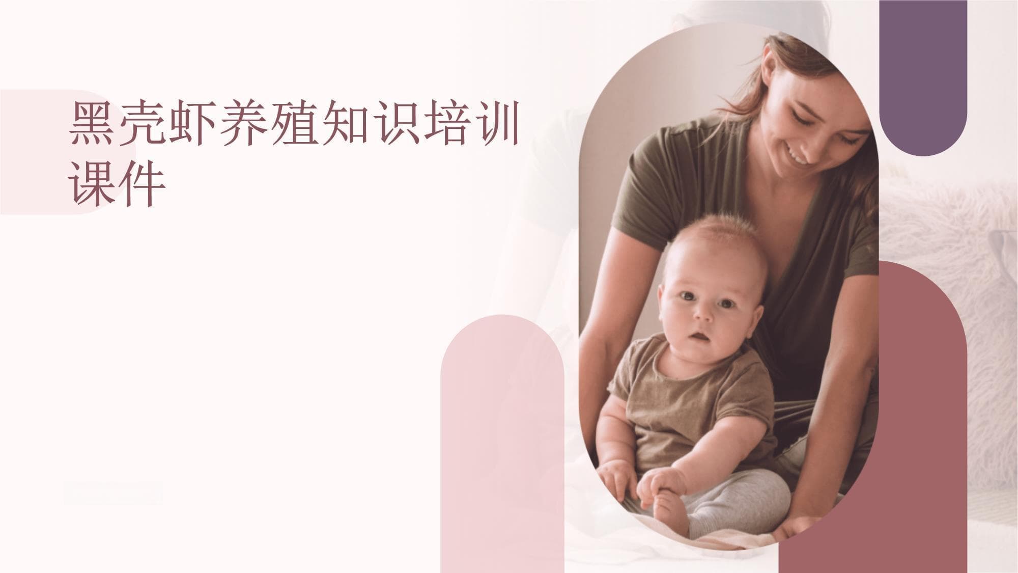 黑壳虾养殖知识培训课件