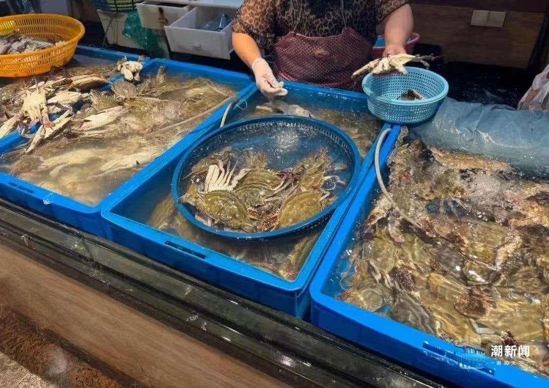今年梭子蟹产量少进价高？记者走访市场、码头了解行情