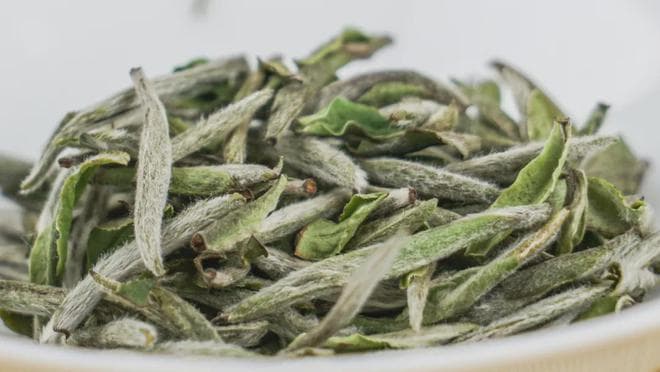 如何辨别白茶品质的好坏？看完这篇文章就晓得了！