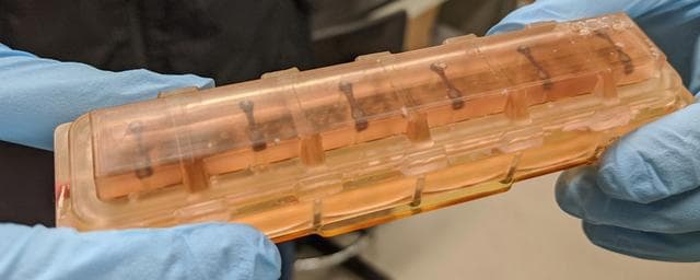 宇航员的心脏表现出明显的衰弱和不规则节律 太空实验揭示健康隐忧