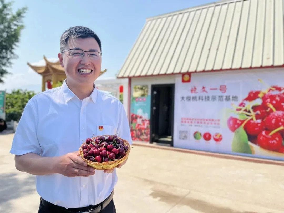 一文读懂！樱桃从栽种到采收最全管理技巧，建议收藏学习