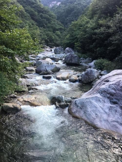 如何摆脱过度的执念