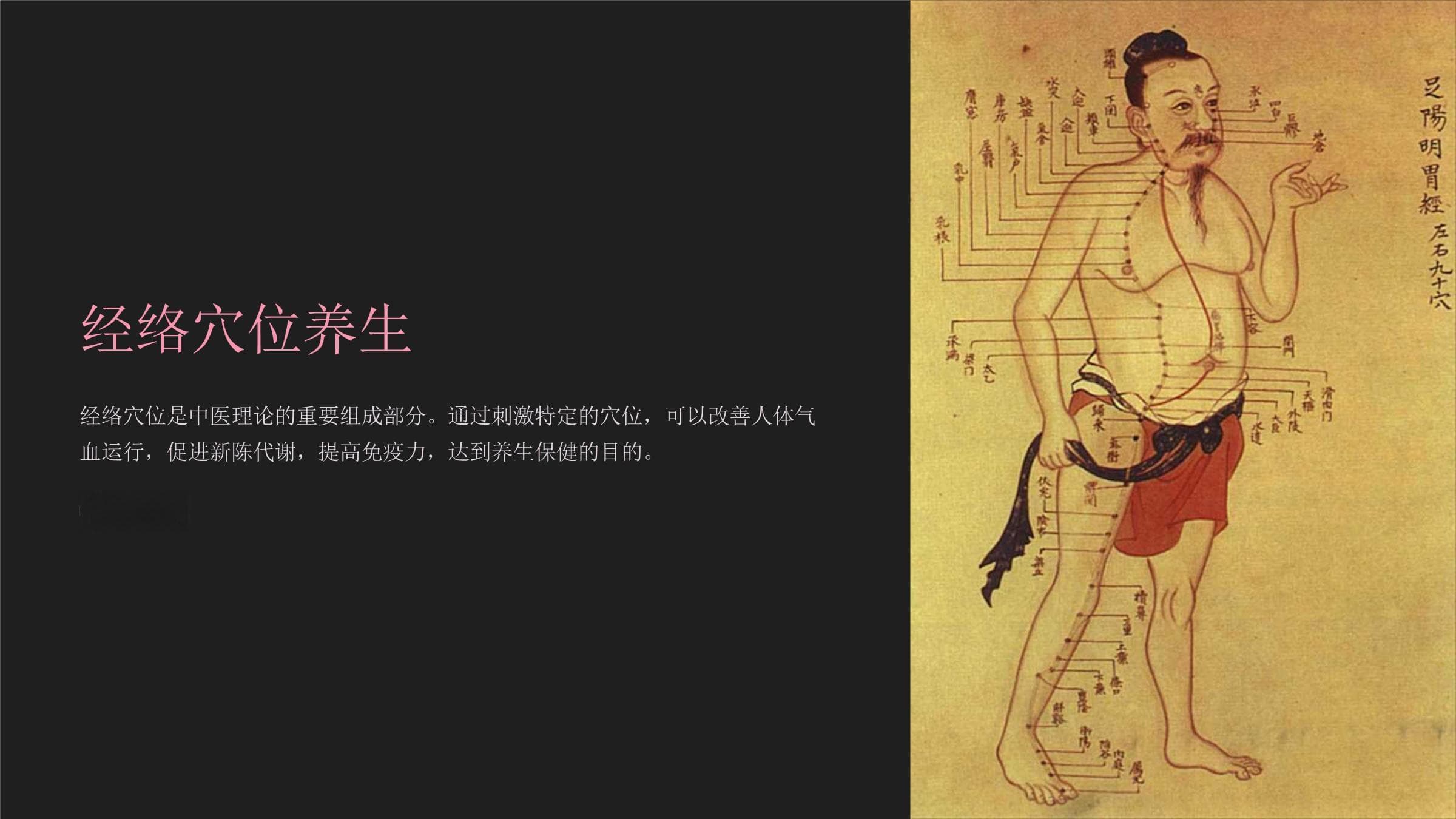 经络穴位养生指南