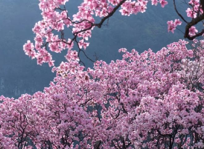九皇山景区：四川北川的神奇之旅