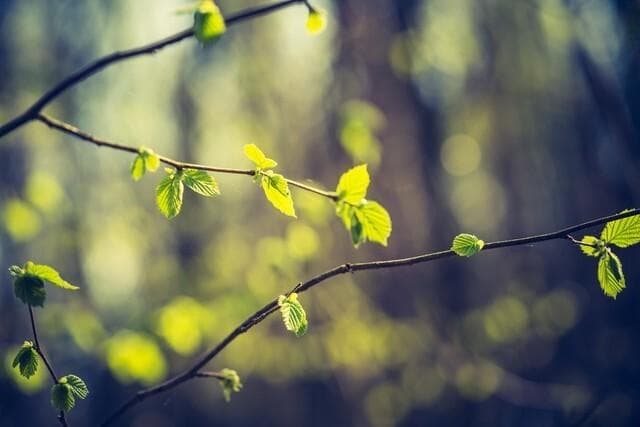 “春天五不吃，远离寒和湿”，哪5不吃？早春时节，饮食要懂忌口