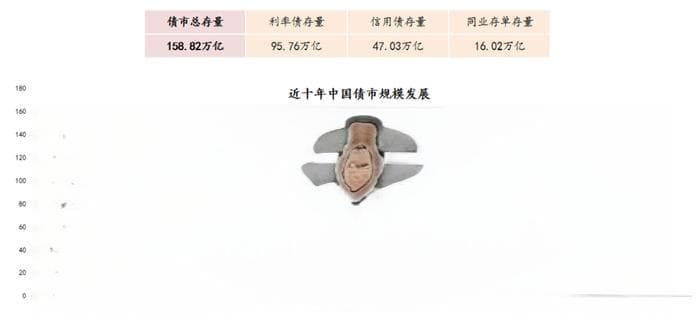 债券市场揭秘：利率债如何占据半壁江山？