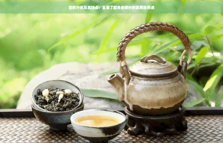 茶的分类及其特点：全面了解各类茶叶的品质和用途