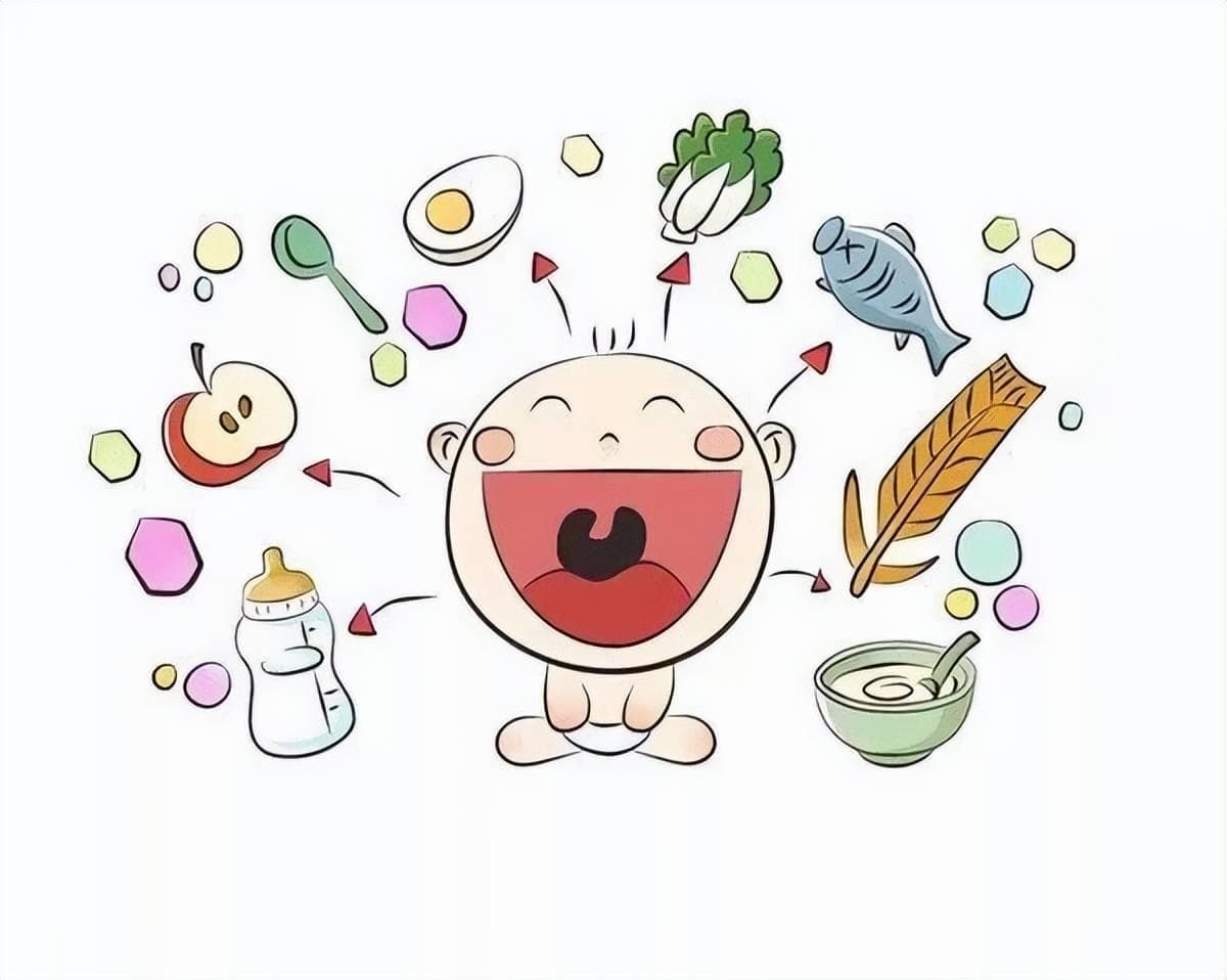 8个月的宝宝怎么添加辅食？不要错过咀嚼敏感期，多尝试末状食物