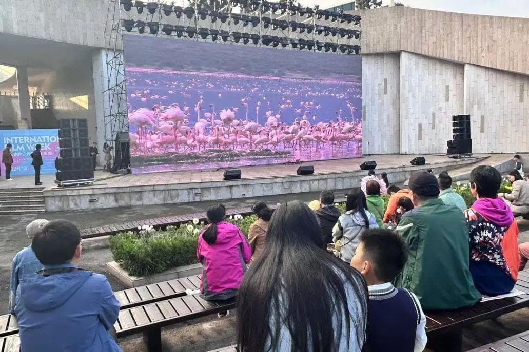 秋日轻户外！上海这个公园是懂浪漫的，“露天电影”氛围感拉满！