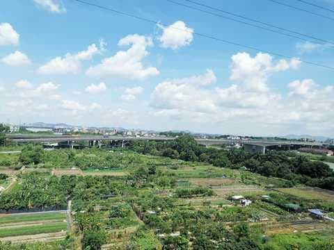 户口登记地类型怎么判断