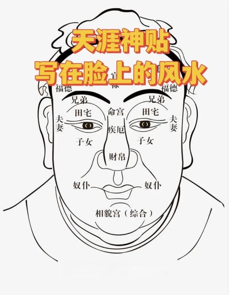 外貌玄学的秘密：如何轻松拥有丰润幸福的脸蛋