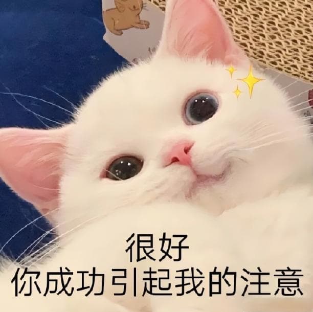市场需求驱动，八大专业硕士项目应运而生
