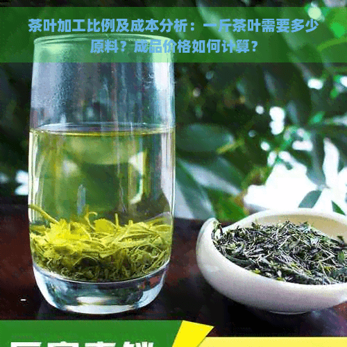 茶叶加工比例及成本分析：一斤茶叶需要多少原料？成品价格如何计算？