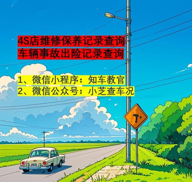 购买二手车时，需查4S维保、事故出险记录等评估车况，砍价要点