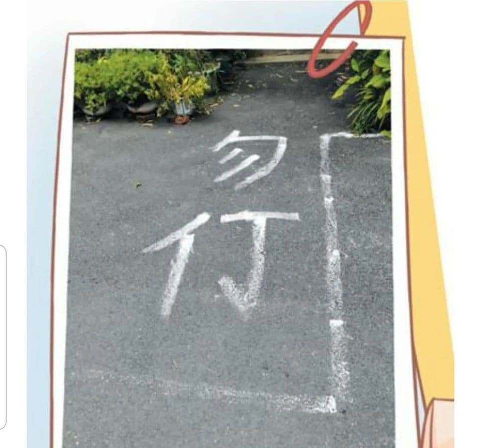 1977年我国推行的二简字，为何不到半年就被废除，背后有何原因