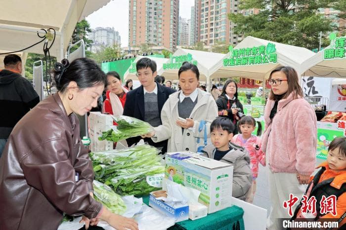 广东“连州菜心”走向全国 带动当地近6万农民就业