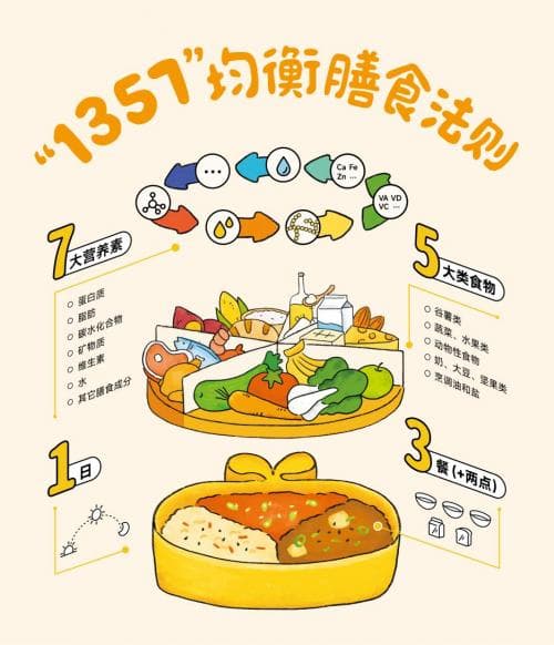 忙碌家长的喂养指南：6岁宝宝“1357”均衡饮食法