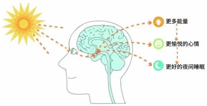 选择适宜光照，拥有良好睡眠