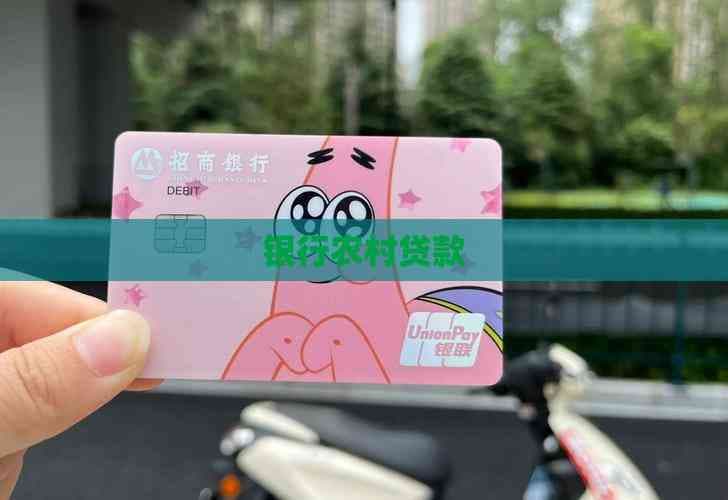 银行农村贷款：多样化的产品与服务