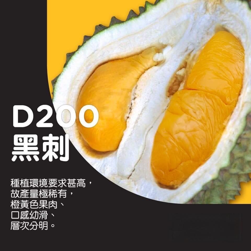 【榴莲品种】31个“果王”榴莲品种一览！推荐13个必食品种！不易中伏选榴莲贴士！