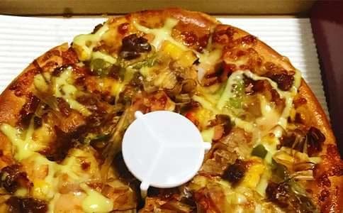 乌龟不吃食物的原因及解决方法