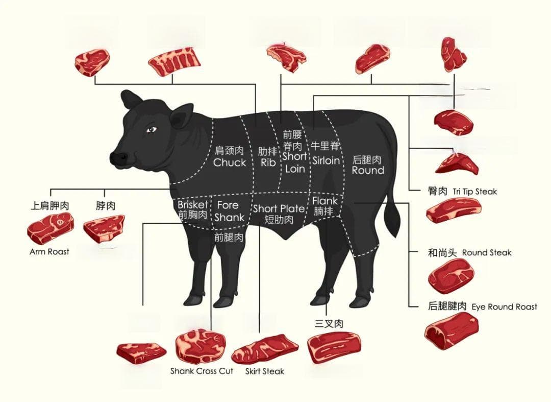 一文详解不同部位牛肉食材特性，对“菜”下“肉”才算高手！